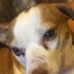 Meet your Posher, Rainee